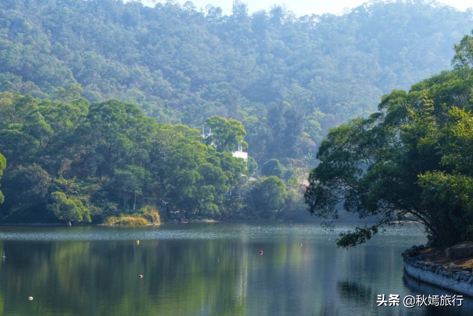 厦门这所临海而建大学，校园优美，沙滩迷人，被誉为中国最美大学