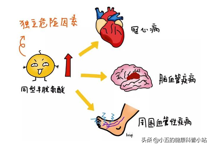 几块钱一瓶的维生素B6，可以调理6种疾病，服用时要注意什么？