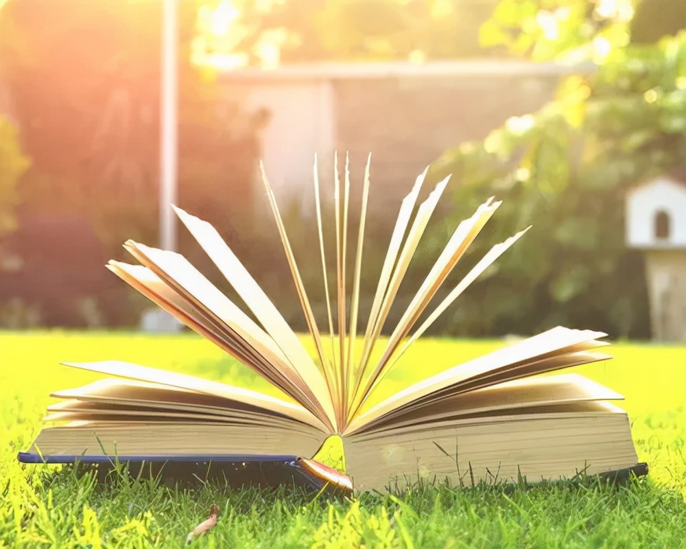 写作是一种孤独的享乐，同时也是成长的开始