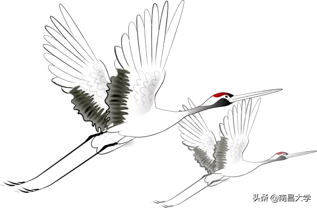 新生别错过！2020级特色实验班报名9月13日截止