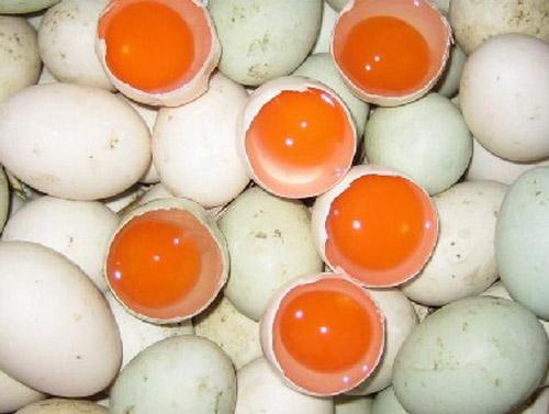 煮鸭蛋、咸鸭蛋、松花蛋，早餐吃哪种鸭蛋更健康？吃错了浪费营养