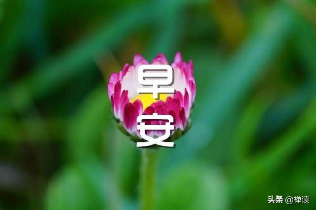 早安！人生如登山，每一步都算数，坚持前行，终见山顶风光。