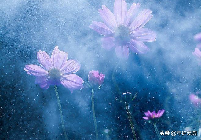 内外兼修，知行合一，黑暗中依然有光亮照着前方