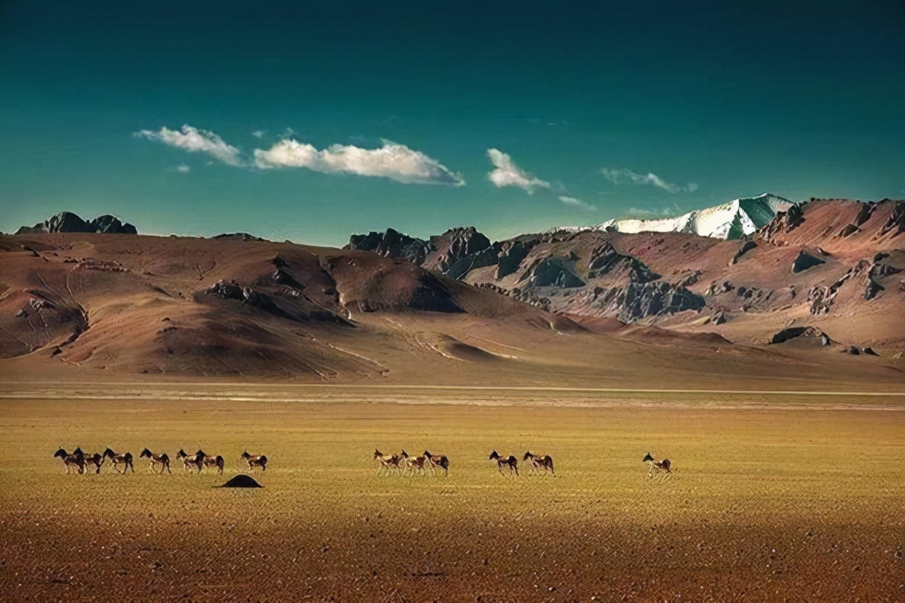 可可西里无人区:到底有什么恐怖之处?据说一只兔子都能要人命