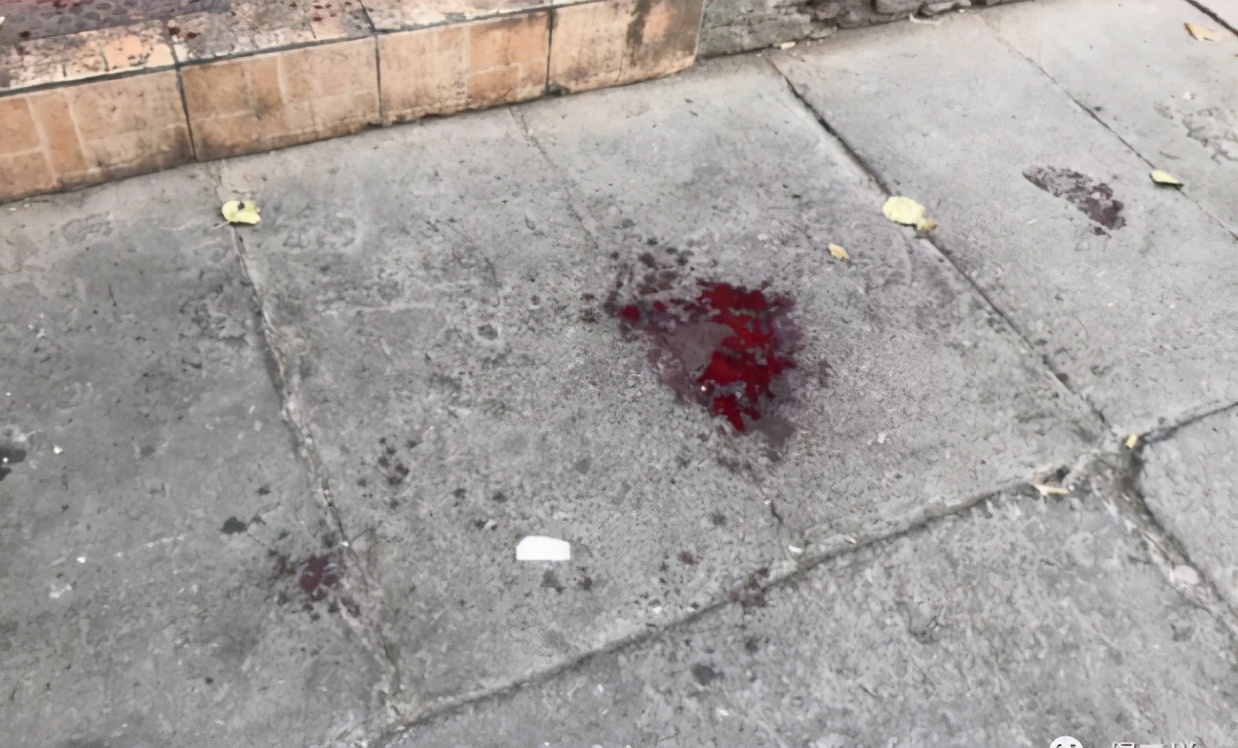 追求女神7年，婚后他却抽出了水果刀……