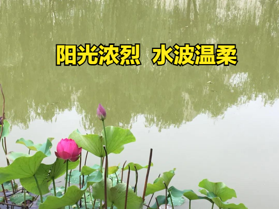 西安艺术学校得多少钱（西安石油大学VS西安邮电大学）