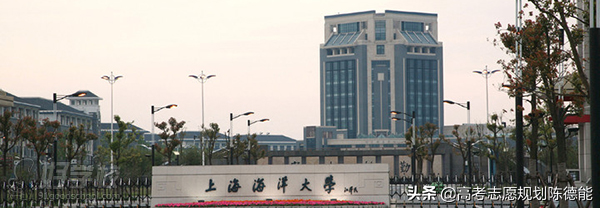 上海市十五所高校学科实力琅琊榜
