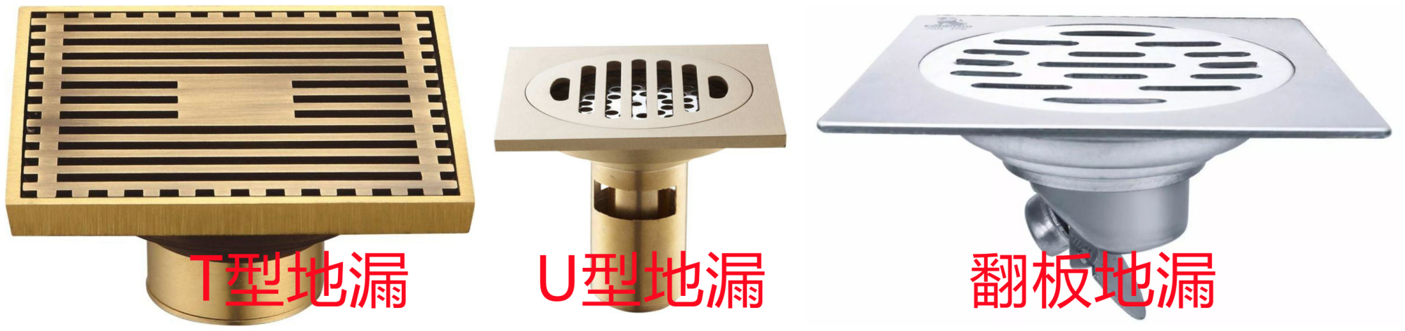 蛾蚋幼蟲,蛾蚋幼蟲圖片