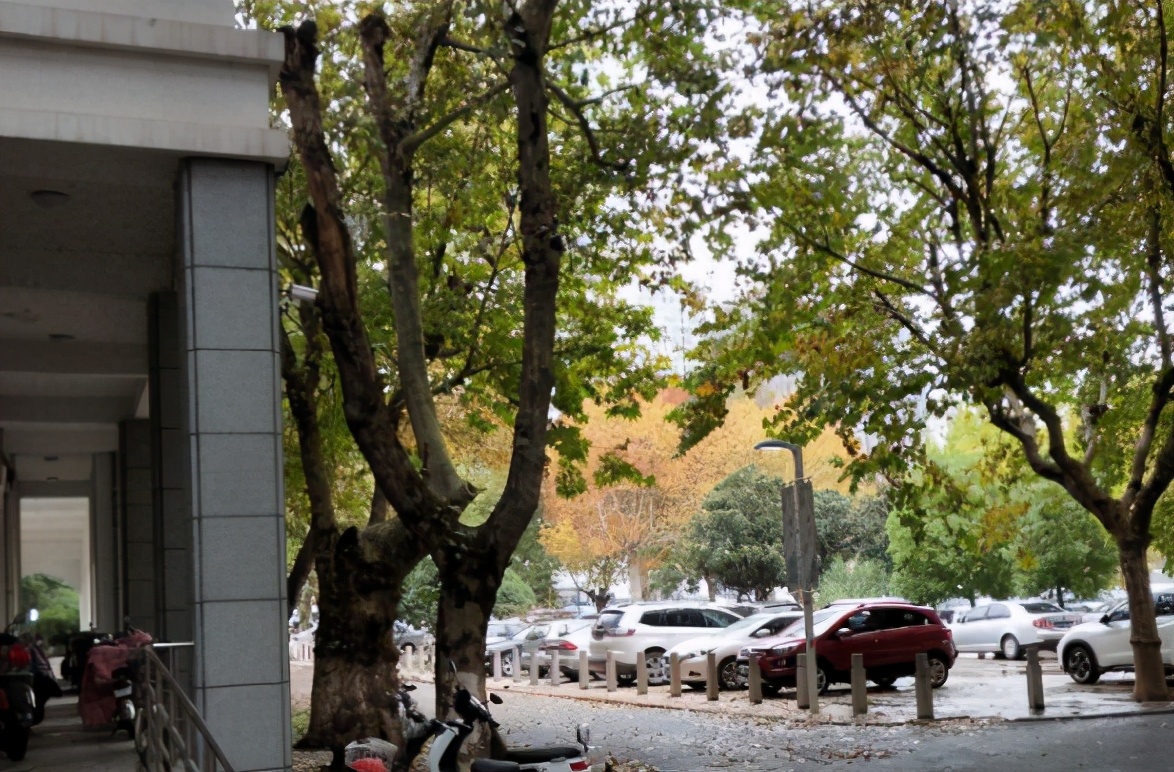 这所大学改名后“很尴尬”，提升了档次，却成了学生之间的笑谈