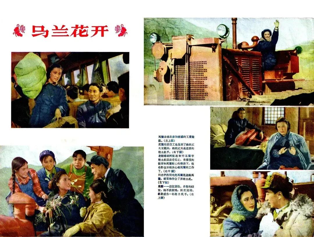 老电影（0354）《马兰花开》长春电影制片厂（1956）电影剧照欣赏
