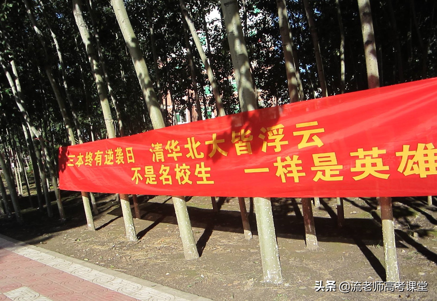 14省本科一批二批合并招生，报考志愿数量增加，两类考生比较受益