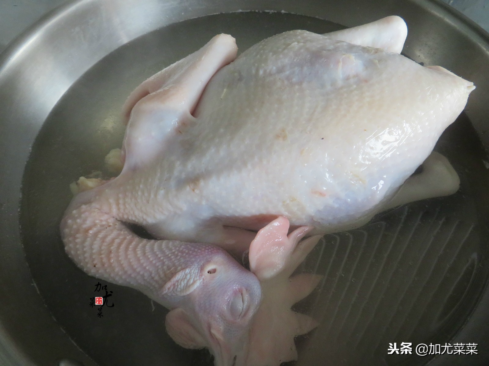 白斬雞蘸料,白斬雞蘸料的做法