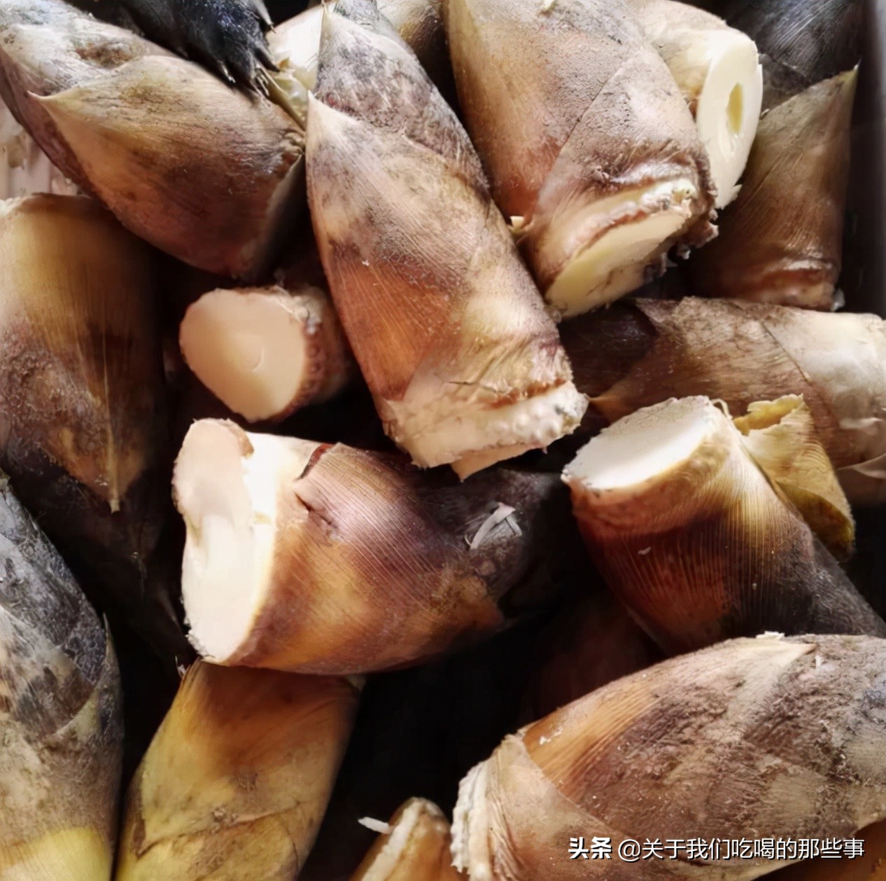 冬笋上市了,笋农教你2个保存方法,不腌制不晒干,放1年也鲜脆