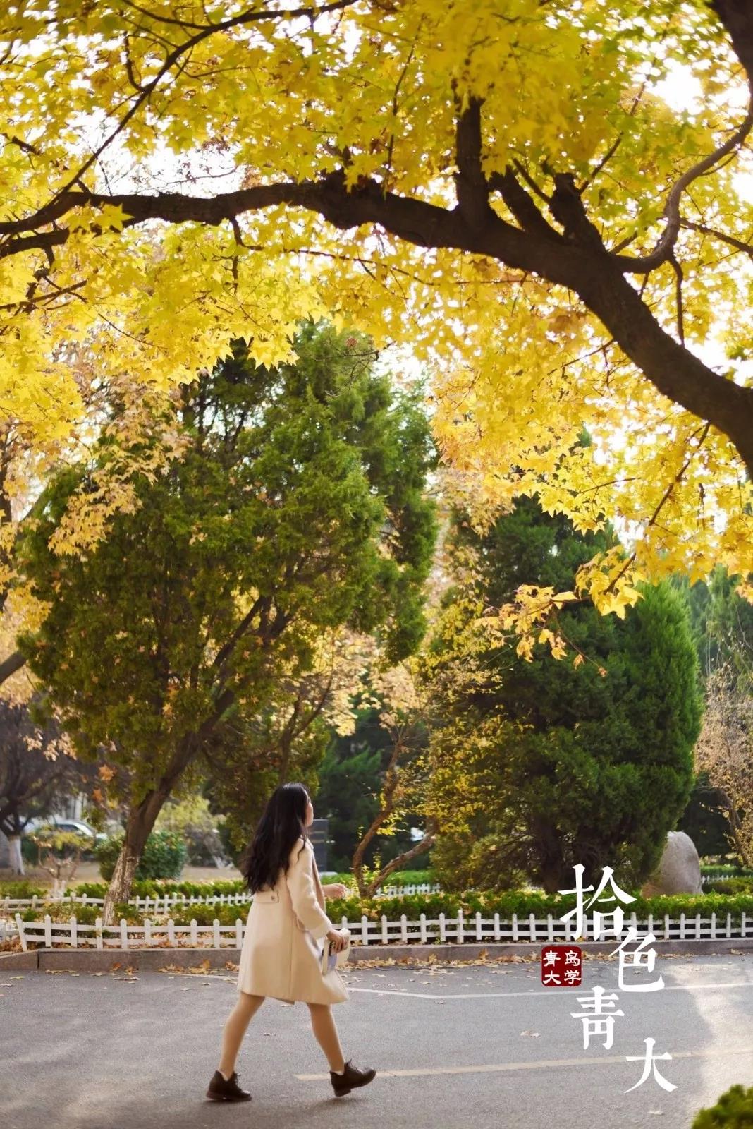 高清曝光！坐拥神仙颜值，山东最美“校花”就在这所大学里！