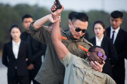 中华保镖电影剧情百度「详细介绍」 _晶羽科技