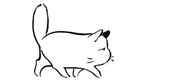 大类招生是什么意思？大学都读了一年了，这些专业还要重新分流？