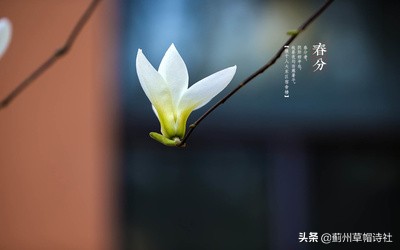 孩童嬉戏水中乐