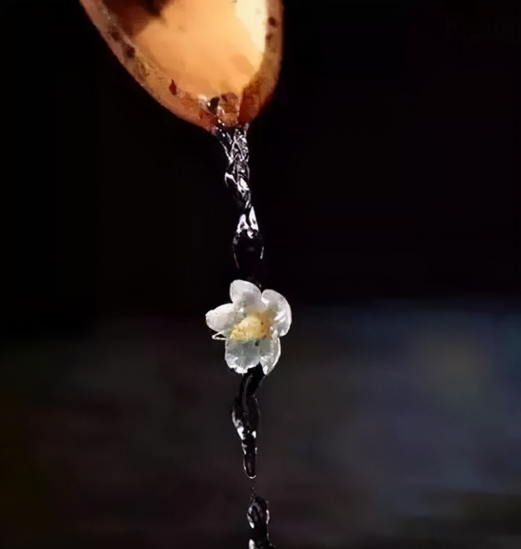 坚持到底的故事(为什么工资低还有人做)