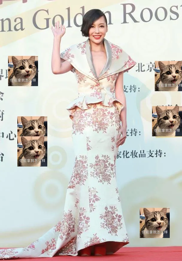 这些年,出现在金鸡百花红毯上的“妖魔鬼怪”