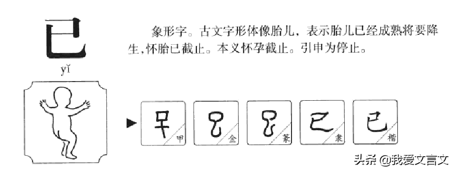 经典文言文赏析 | 愚人煮蜜