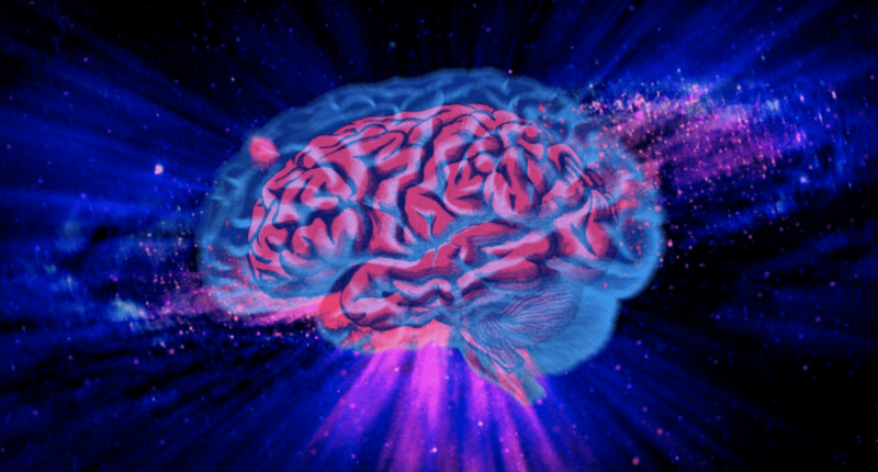 大脑神经元的结构跟可观测宇宙有着惊人的相似