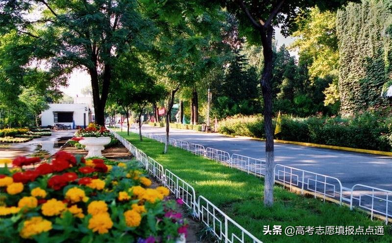 首都师范大学优势专业分析及2019、2018、2017年各省录取分数线