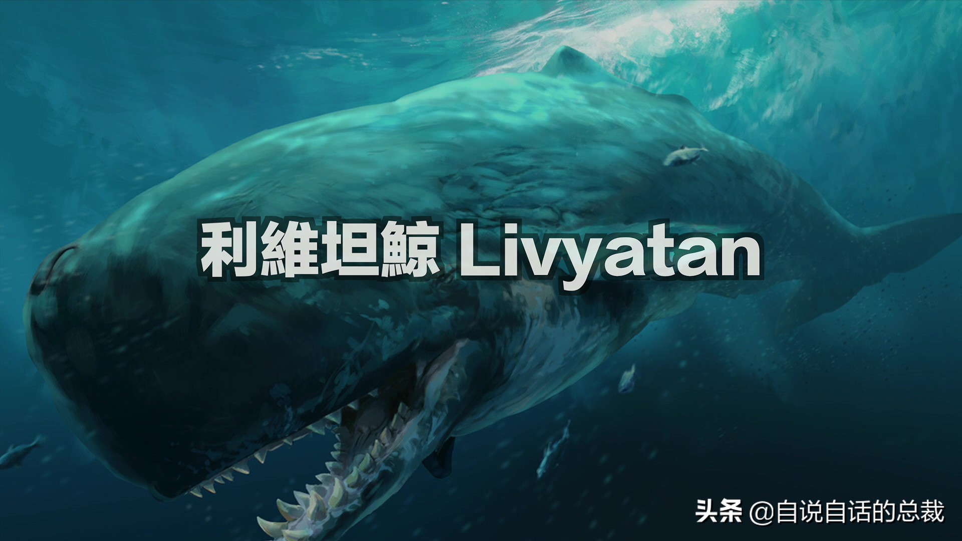 5种比巨齿鲨还恐怖的海怪，背后隐藏着一个人类起源的故事