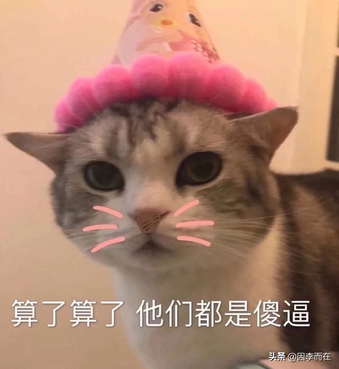 可爱的萌宠沙雕表情包  难受生气 