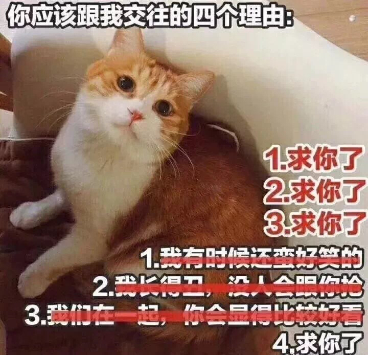 你应该跟我交往的四个理由