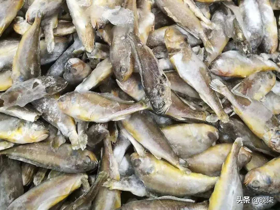 这篇文章把我看饿了——鱼卤面