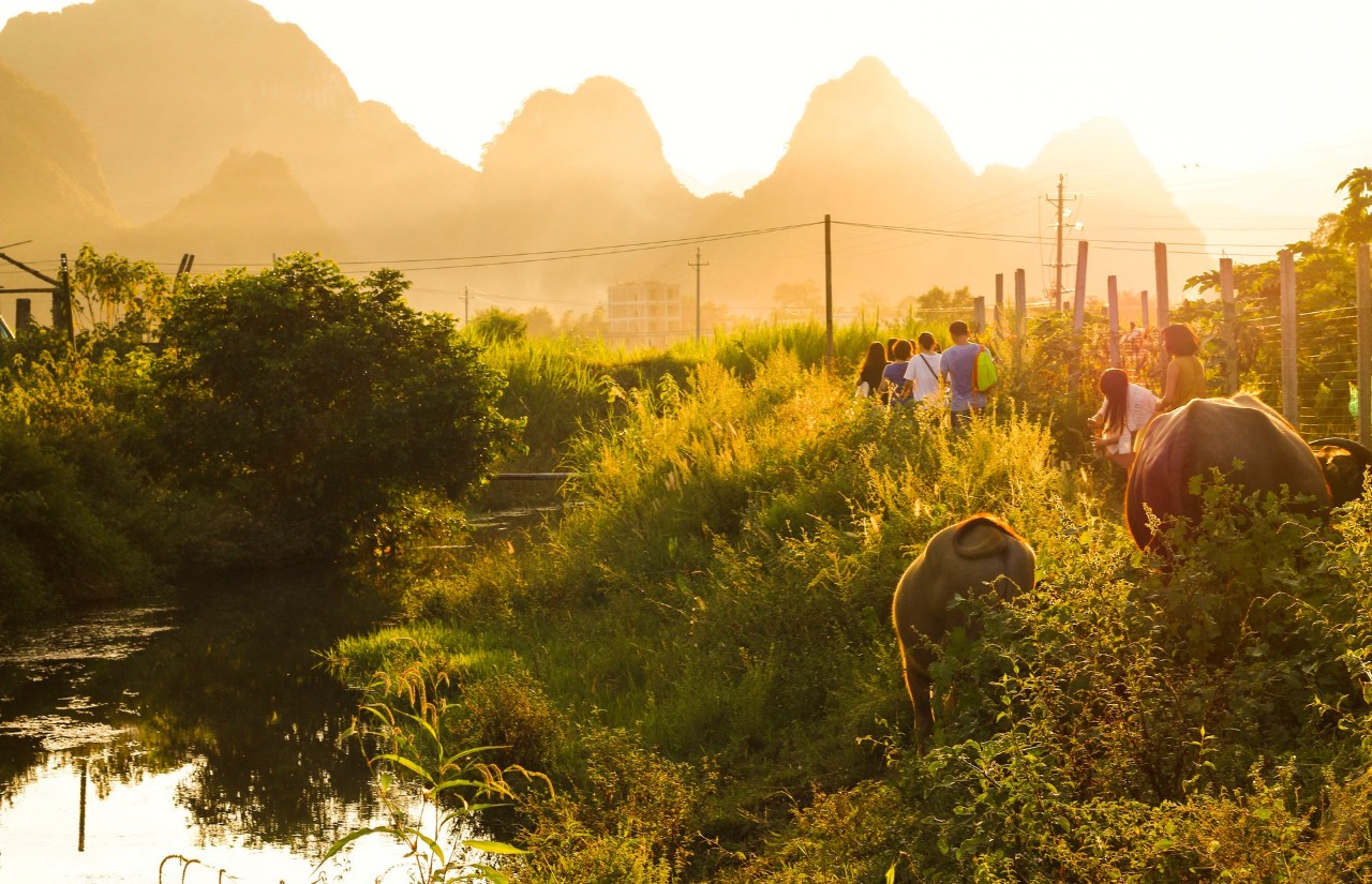 诗词｜岁月不饶人，我亦未曾饶过岁月