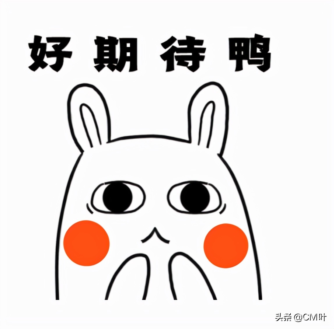 深圳市积分入户查询,深圳市积分入户查询系统