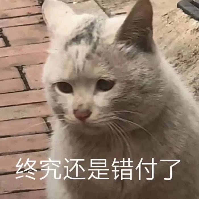 表情包：终究还是错付了