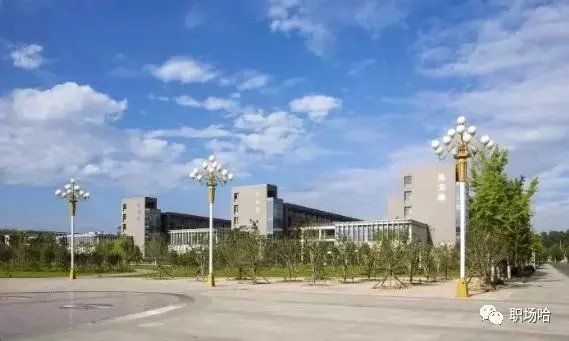 河南这3所公办大学，升格为本科学校不久，录取分偏低，适合捡漏