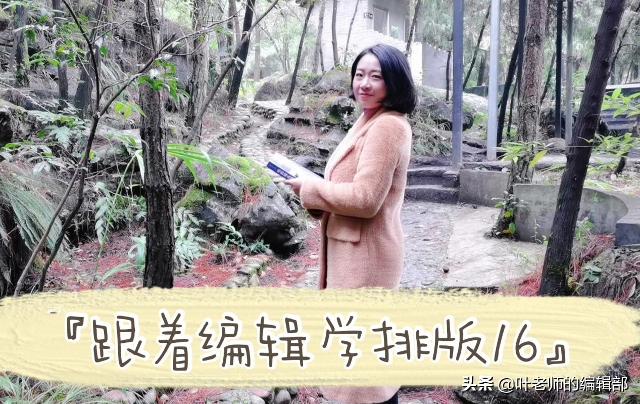写论文不要老是插入截图图片，用WPS文档自绘图形更精致