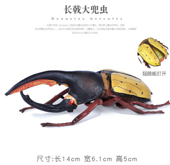 昆虫中的“大力神”，能举起超过自身重量850倍的物体，售价上千