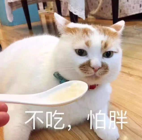 这些事情不要做，在猫咪眼中，就是“不爱它”了