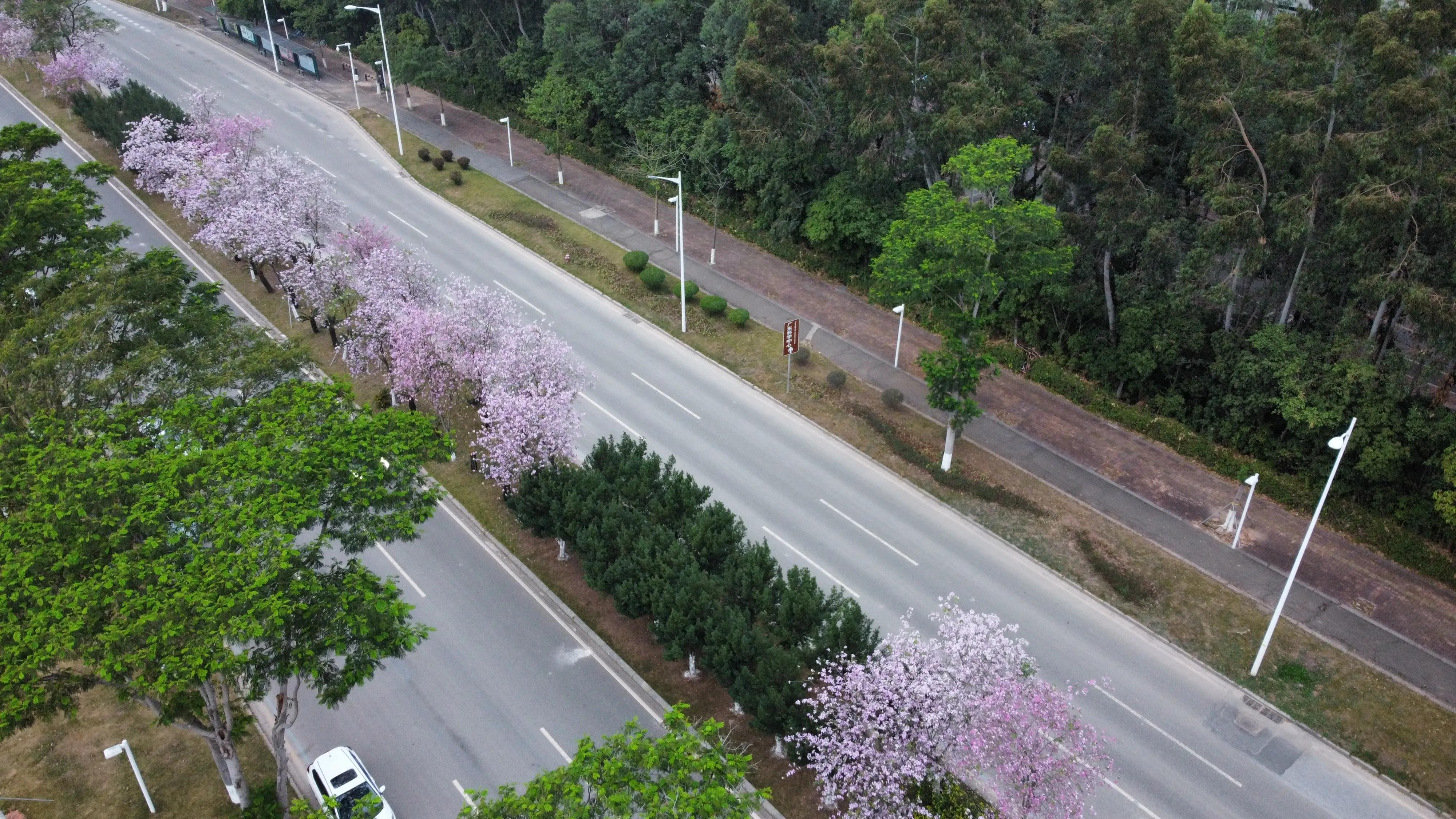 广州航拍圣地——大学城