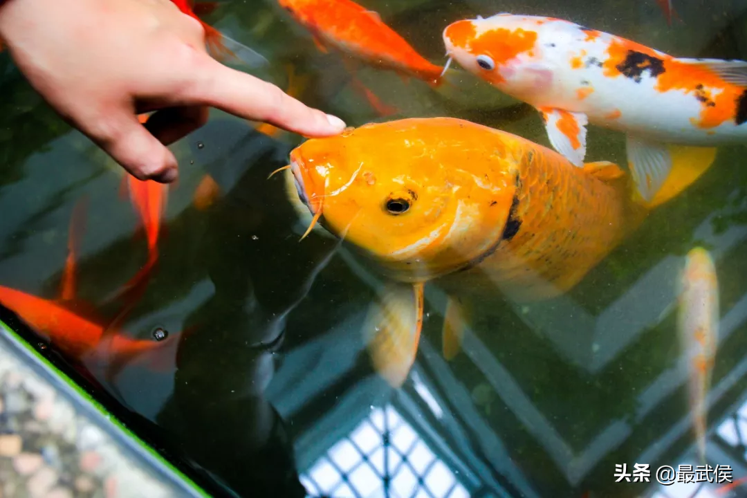 趁着搬迁之前，再去成都体育学院走一走吧！太满足了！