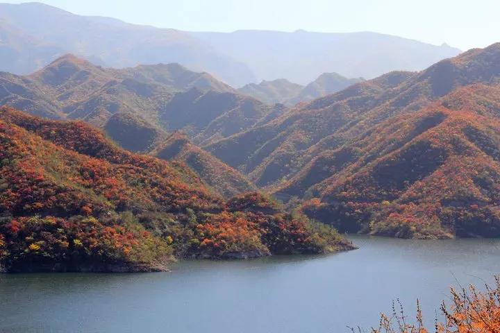 赏秋时节 </p><p>　　 打卡京郊这10条乡村公路，藏着北京最美的秋天