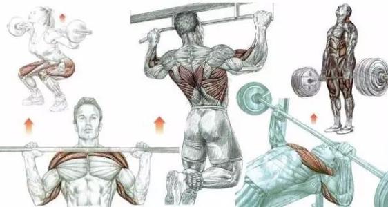 幾種增肌訓練方法，促進肌肉維度生長，變得厚實起來！