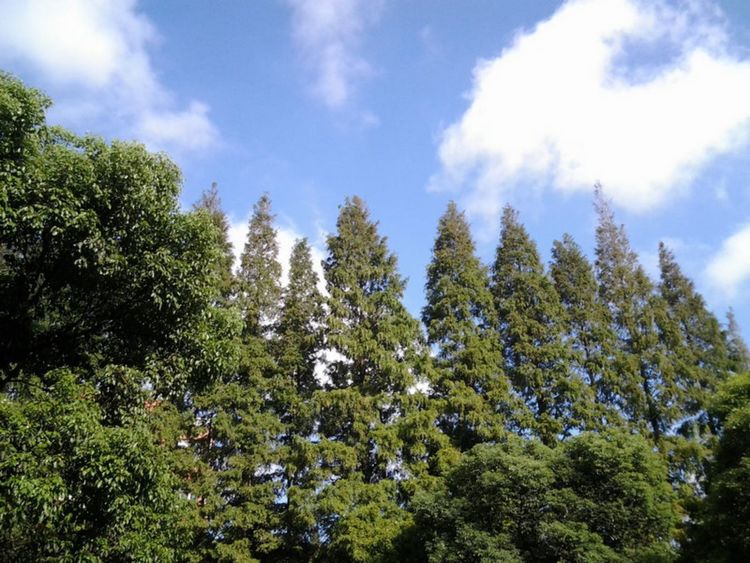 走进上海理工大学