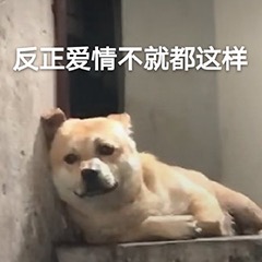 表情包：小委屈我能忍