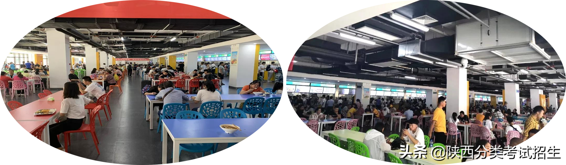 弘德笃行 负重自强 ‖ 西安汽车职业大学