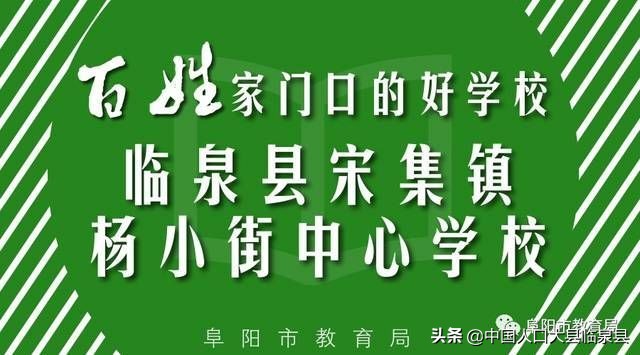 临泉县杨小街中心校2020中考喜报