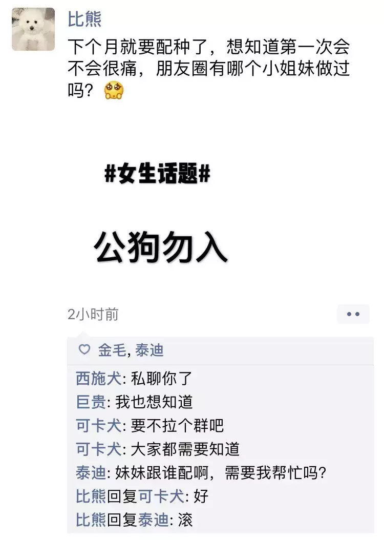 如果狗狗会发朋友圈，是什么样子？