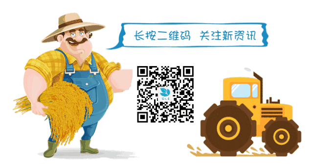 人心果什么时候成熟