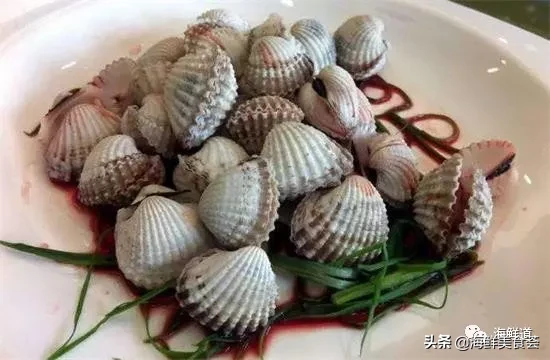 市场常见的102种海鲜，肉质鲜美，营养丰富，你们吃过几种？