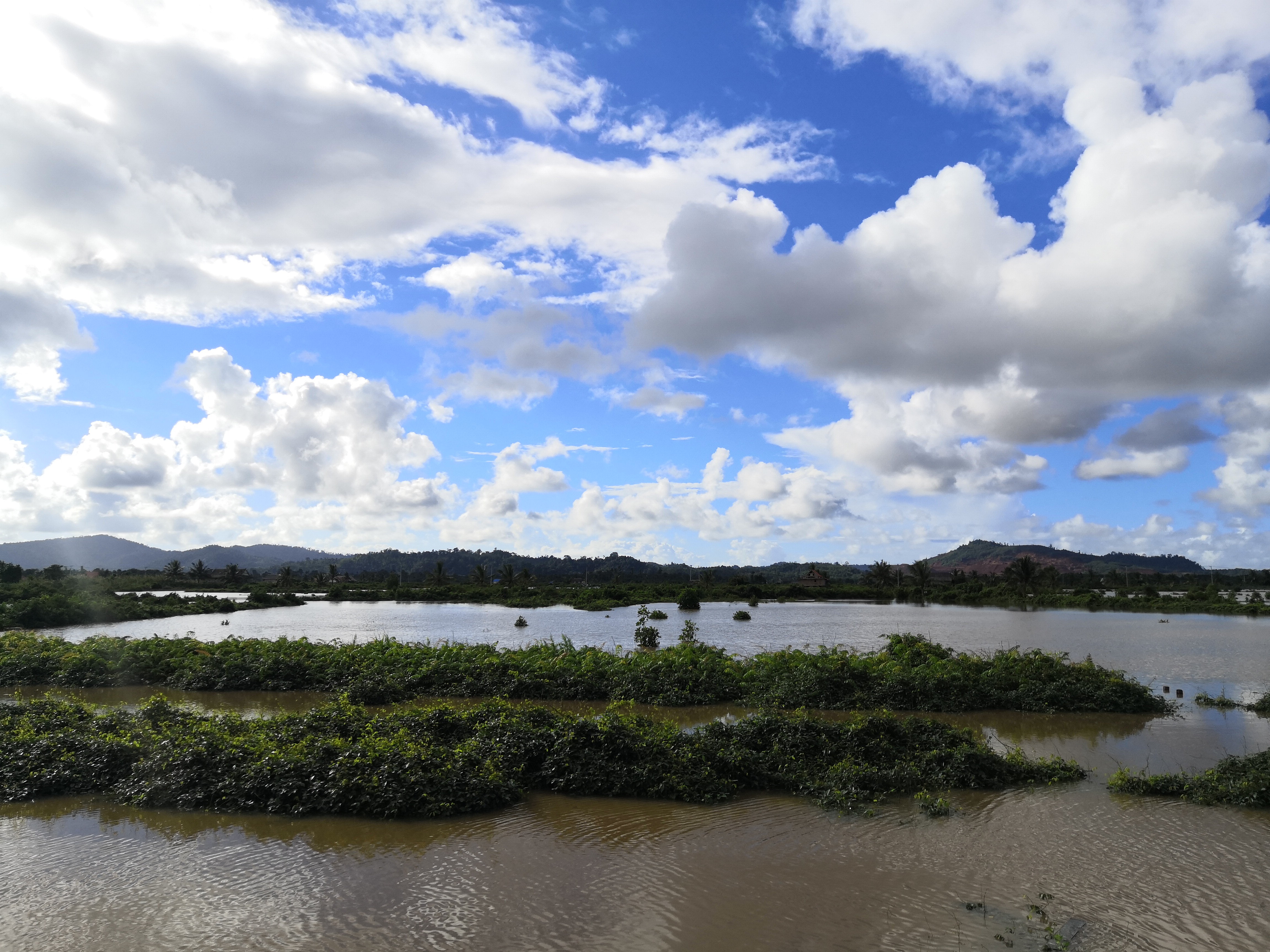 苏拉威西岛在哪个国家(苏拉威西岛简介) - 地球局 - 扒车喵