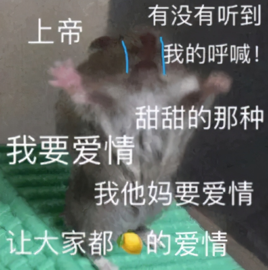 520情人节专属表情包，真的撩到爆，今天能不能脱单全靠它了